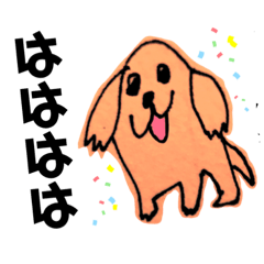 我が家のアイリッシュセターとミックス犬