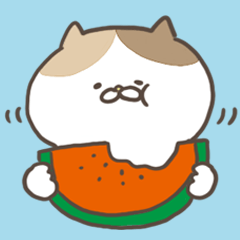 【毎日使える夏カラーにゃんこ】