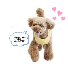 マルちゃんまる