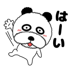 毎日使える パンダのような犬