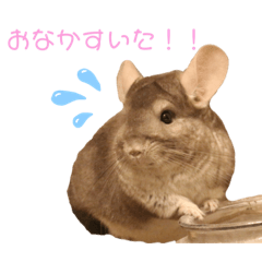 天使なしらす♡