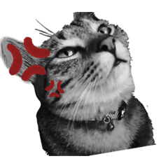 腹黒い猫のスタンプ