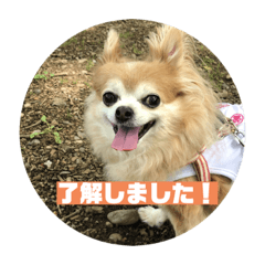 あいちゃんスタンプです！