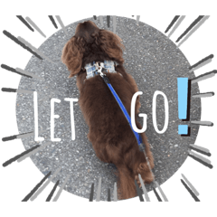 チョコ&パフェ♪