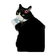 山田と愉快な仲間だよ