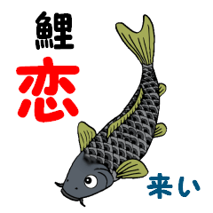 鯉・恋・来い