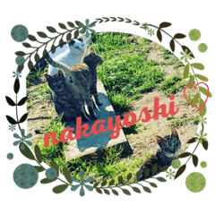 のらにゃンズ＋ポンちゃん