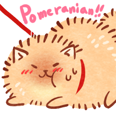 可愛いポメラニアンさん