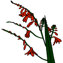 季節の挨拶（花などを添えて）