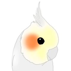 ほっこりリアルおかめいんこ