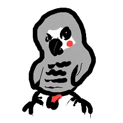 ヨウムのバロ２