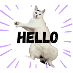 ニャンコの仲間達