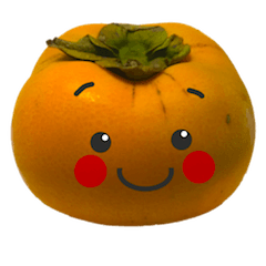 新・柿ちゃんの喜怒哀楽