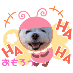 らんぼりんすたんぷ