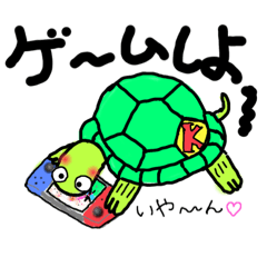 腕白かめ太の毎日