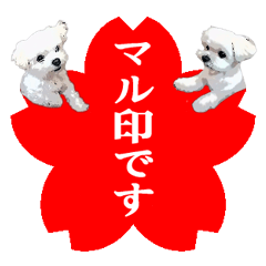 マルチーズのハンコ屋さん