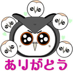 大人気フクロウとハリネズミ