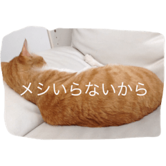 かみさんに送るスタンプ