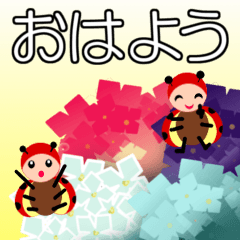 飛び出す　よく使う日常会話　３〜海〜