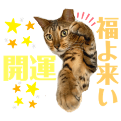 ロゼ&ルカ&ワビ（めでたい！気分アゲアゲ）