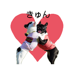 フレンチブルドッグのあずき＆きなこ2