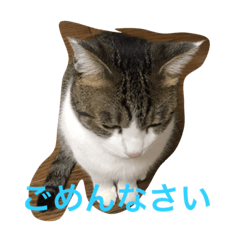 我が家のおチビ達2