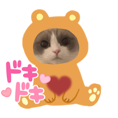 ねこスタンプ　ラグドール