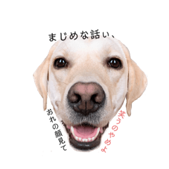 たけおすたんぷ【其の参】