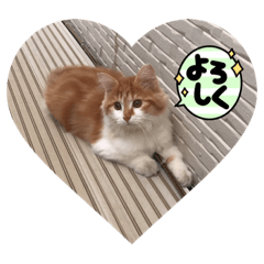 サイベリアン福のスタンプ