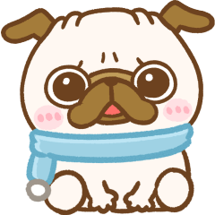 冬♡パグちゃんず