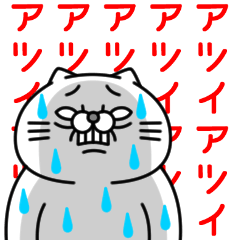 全力ねこ夏のせい編