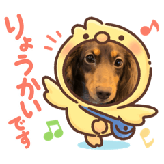 毎日ココナ‼︎