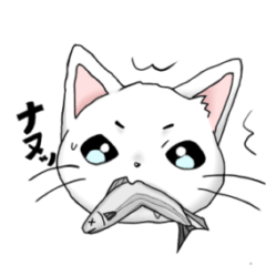 ねこここの日常