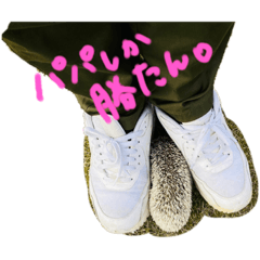 僕の名前はディー・うにぐり。