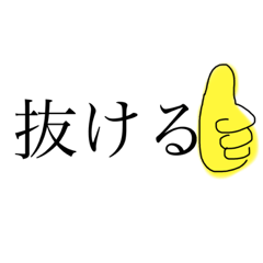 ヒカマー用　極秘　スターダスト作戦計画書