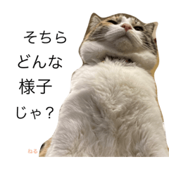 ねむみすたんぷ