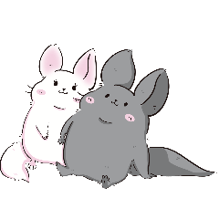 チンチラカップルの日常生活 3