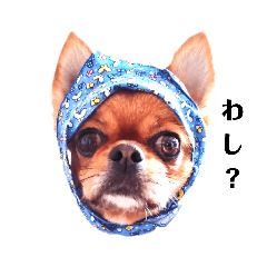 わし達のLINEスタンプ！！