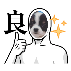 個性豊かな愛犬