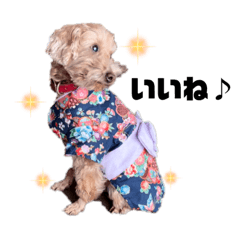 保護犬くるみ ほのぼのスタンプ♪