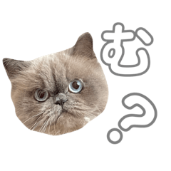 ほたてランド　part1