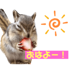 シマリスれもんの日常スタンプ