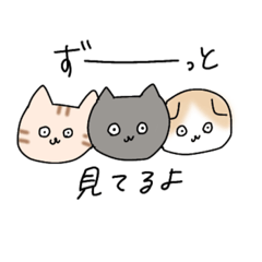 ウチの猫さんたち