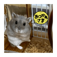 メロンのメロくん