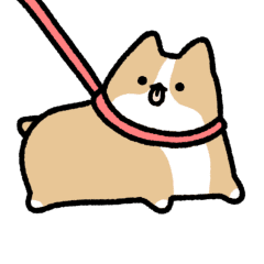 動く！ゆるいコーギーさん