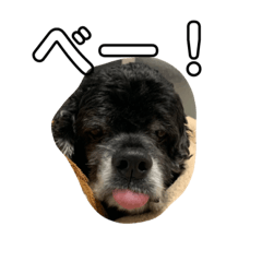 みんなのはるちゃんと鳥鳥