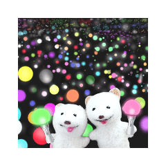 推し活わんこ2  スピとコスピ