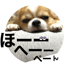 みやたリンたろーさん