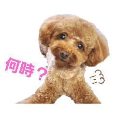 こまこまこまめまめ