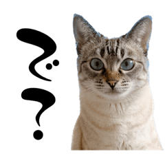 【るな】一言スタンプ